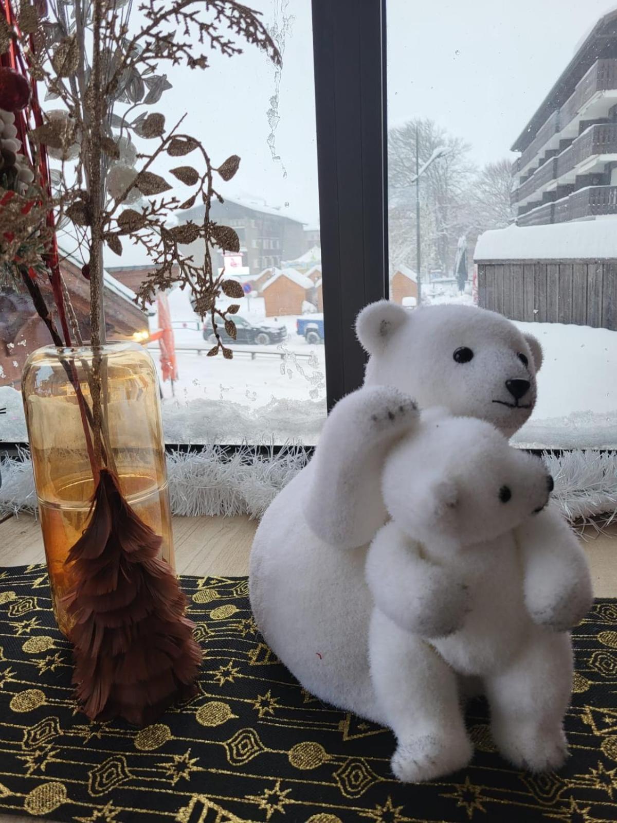 Appartement Duplex Centre Station 5 Personnes Araches-la-Frasse 외부 사진